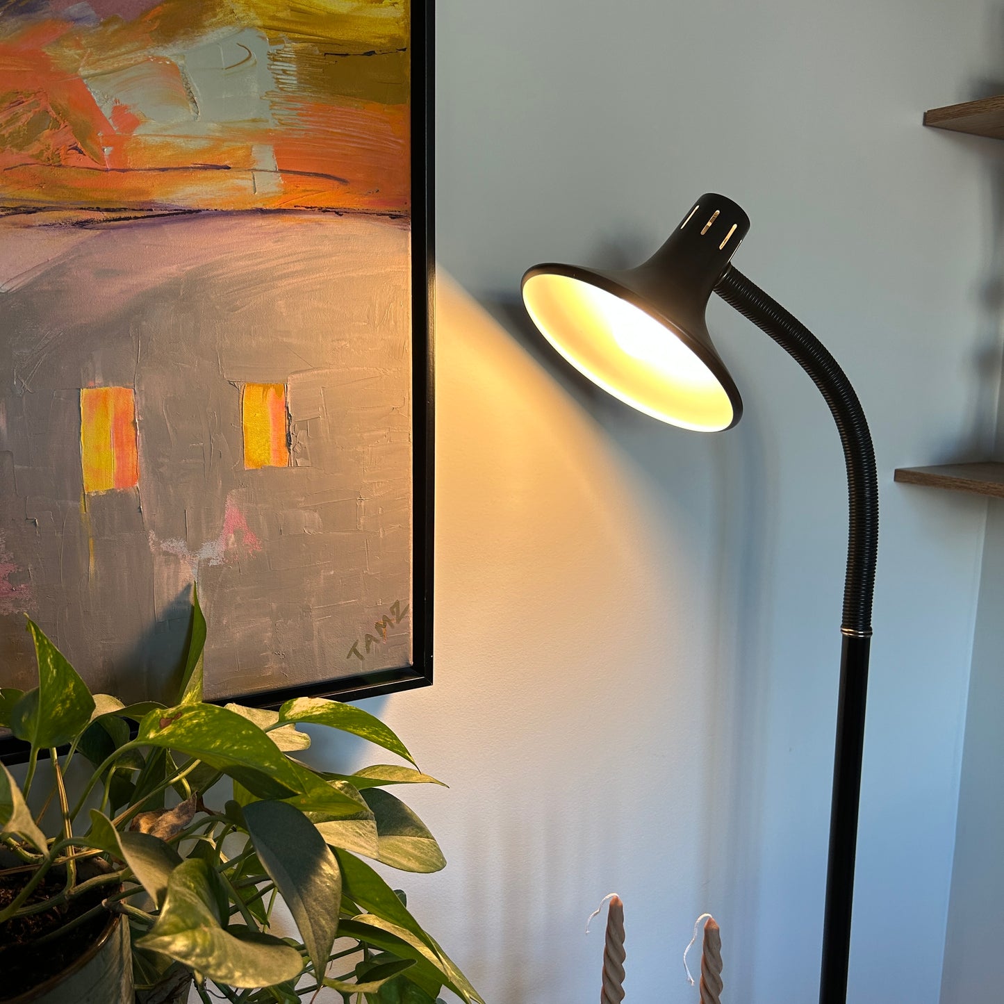 Mid-Century Gooseneck Floor Lamp