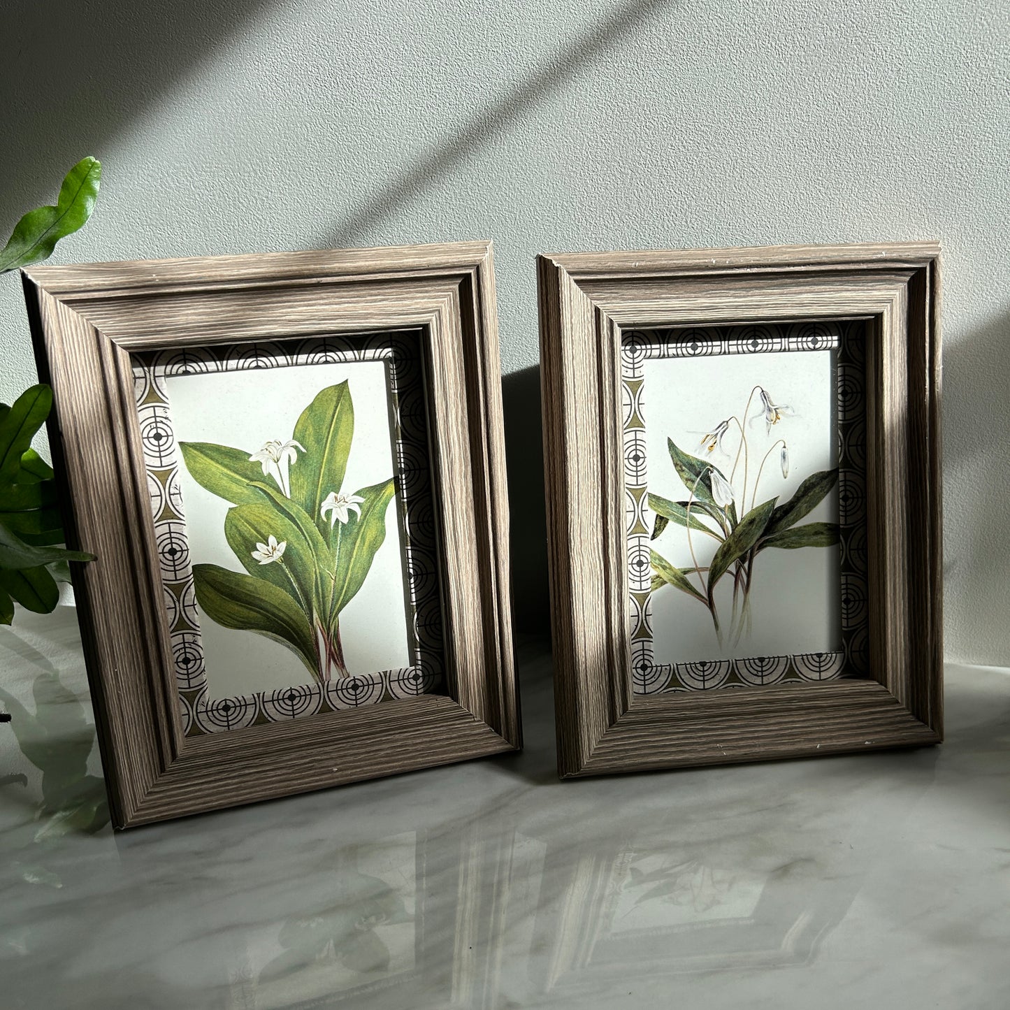 Botanical Vintage Art Print Set | Custom Patterned Matting