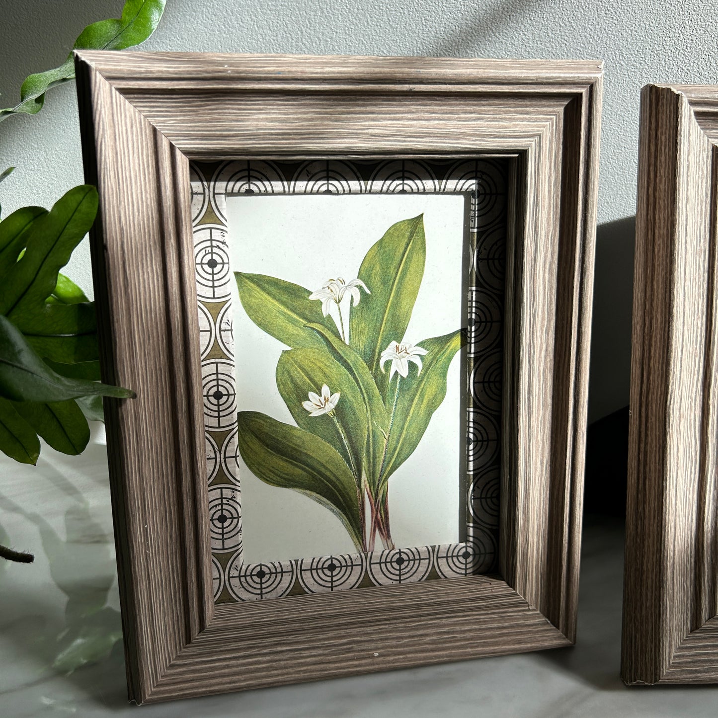 Botanical Vintage Art Print Set | Custom Patterned Matting
