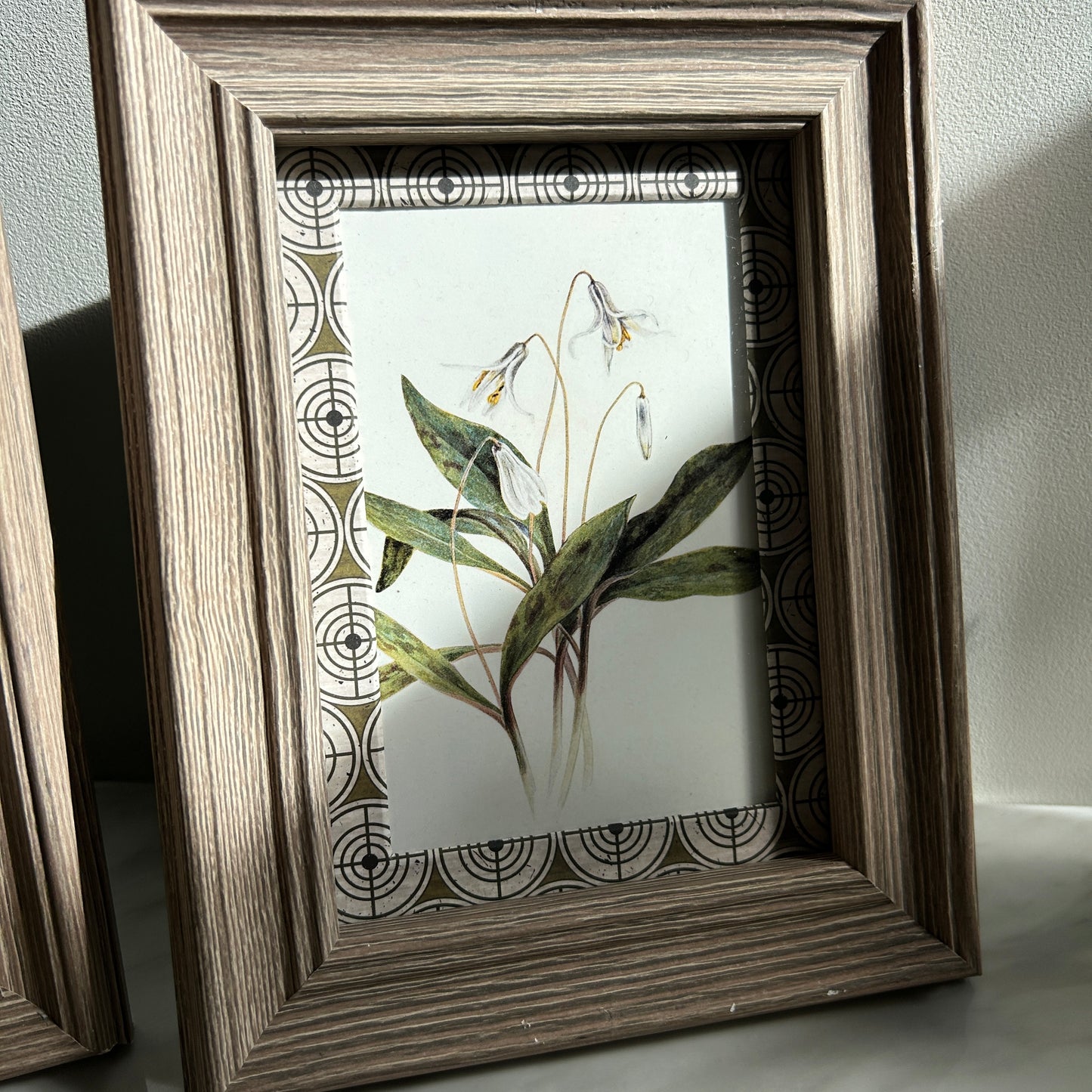 Botanical Vintage Art Print Set | Custom Patterned Matting