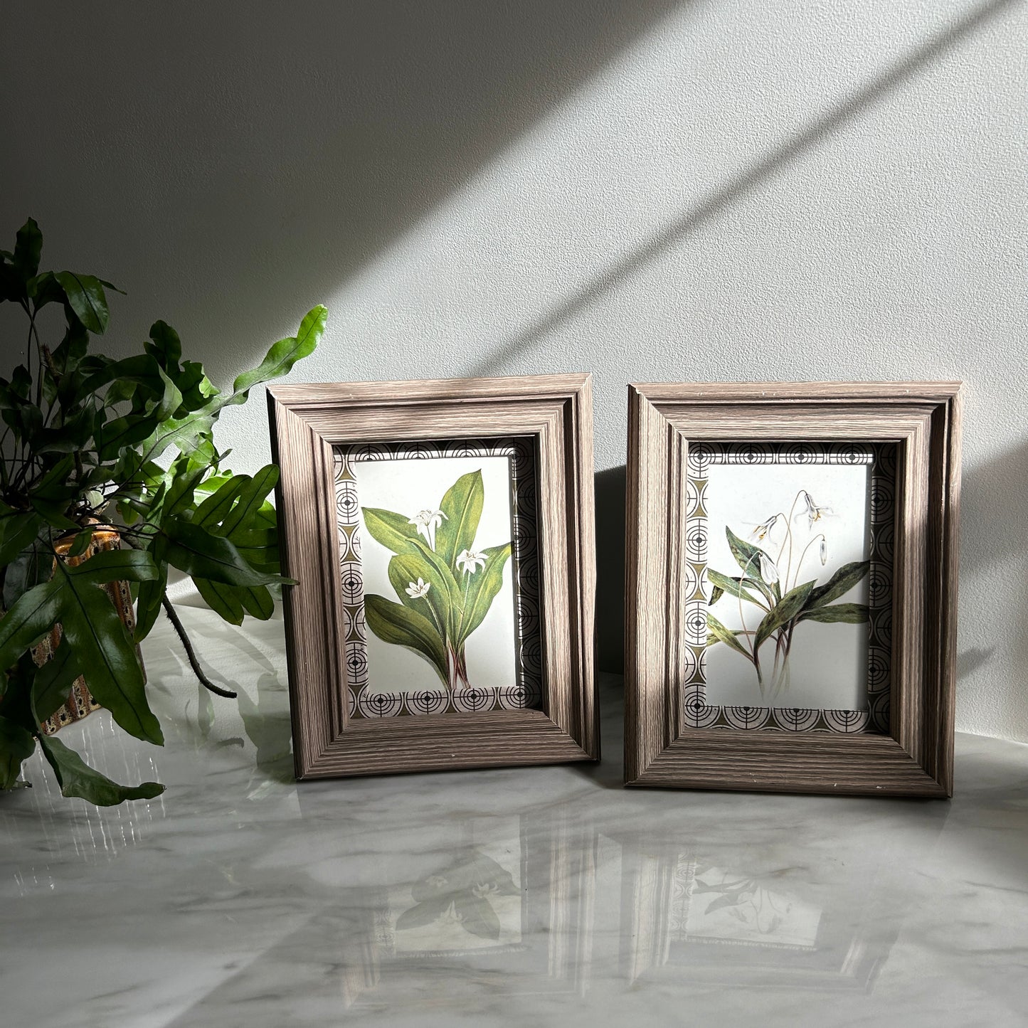 Botanical Vintage Art Print Set | Custom Patterned Matting
