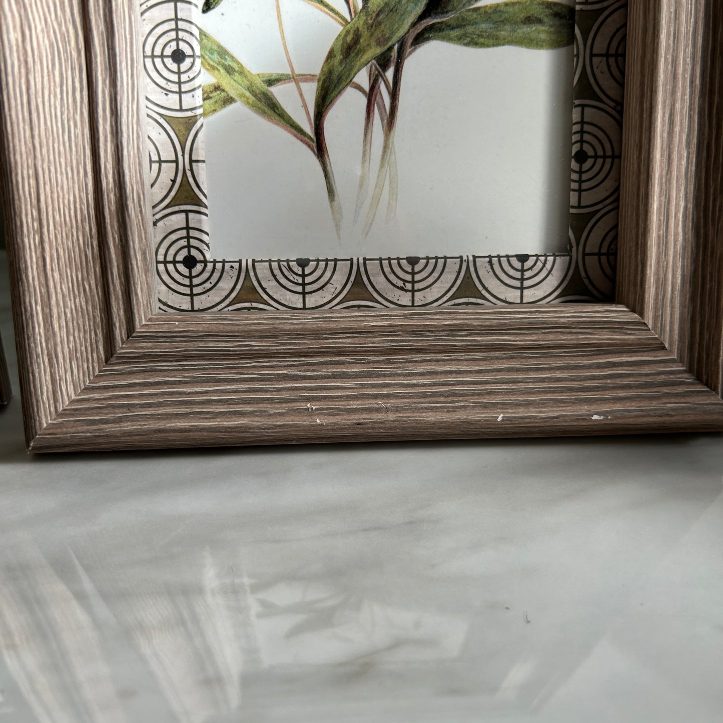 Botanical Vintage Art Print Set | Custom Patterned Matting