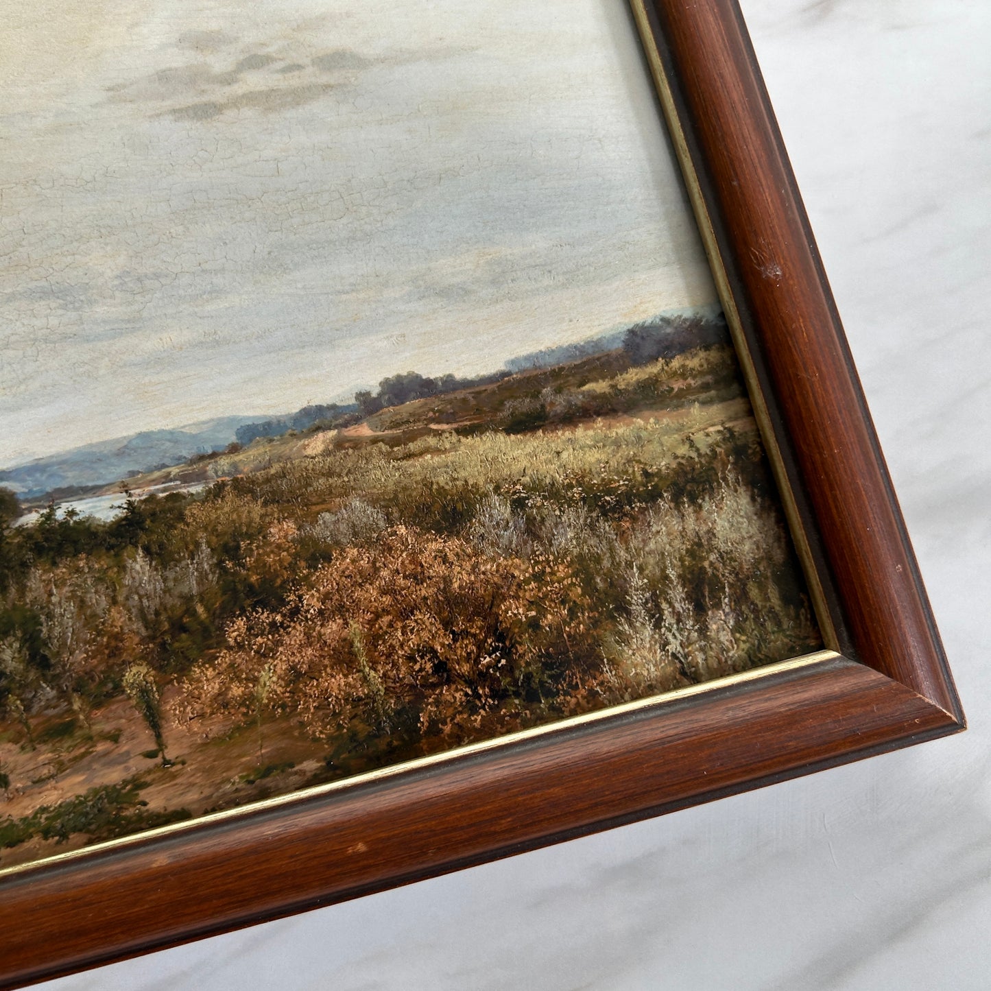 Vintage Desert Landscape Art Print | Wooden Frame