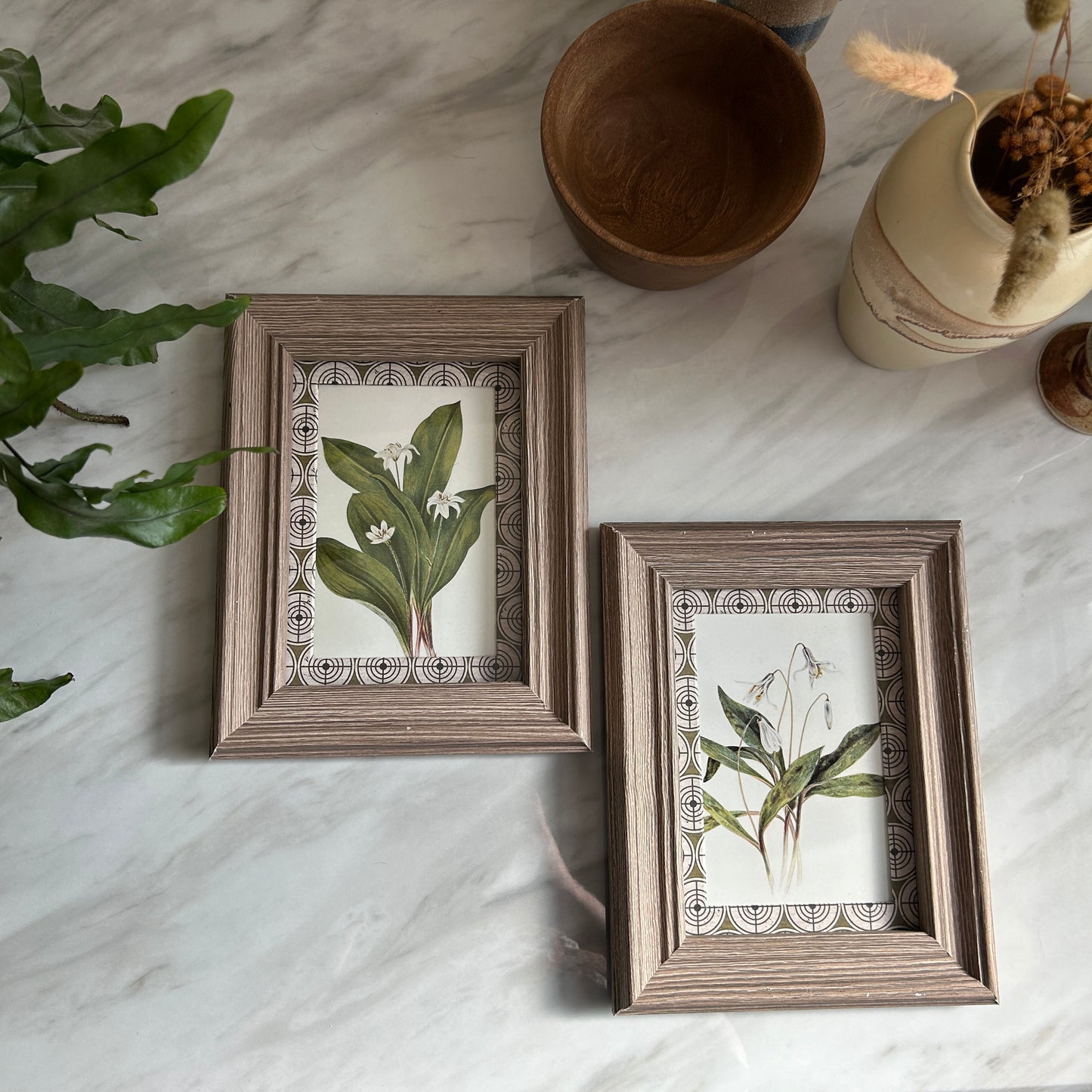 Botanical Vintage Art Print Set | Custom Patterned Matting