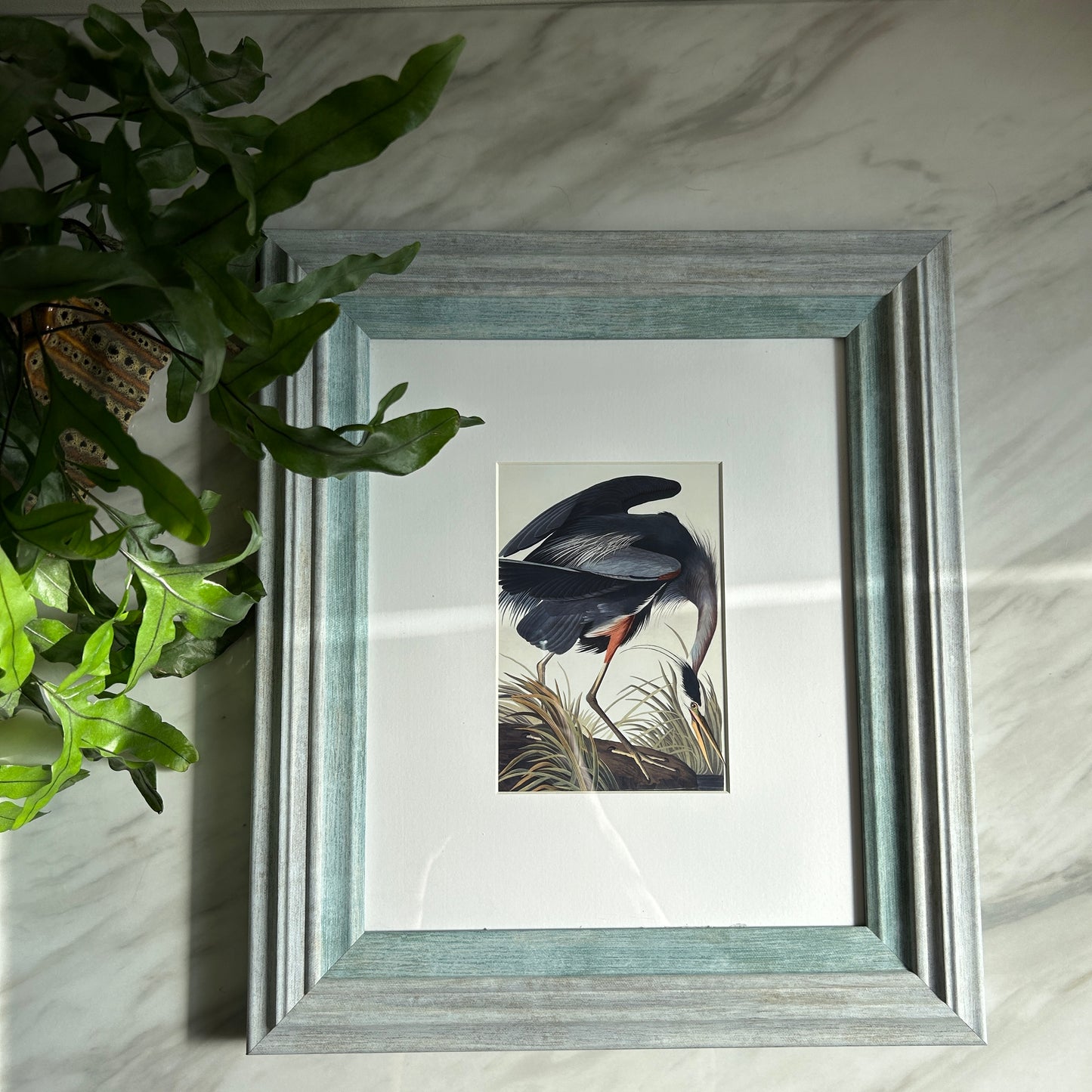 Vintage Blue Heron Art Print | Blue Frame