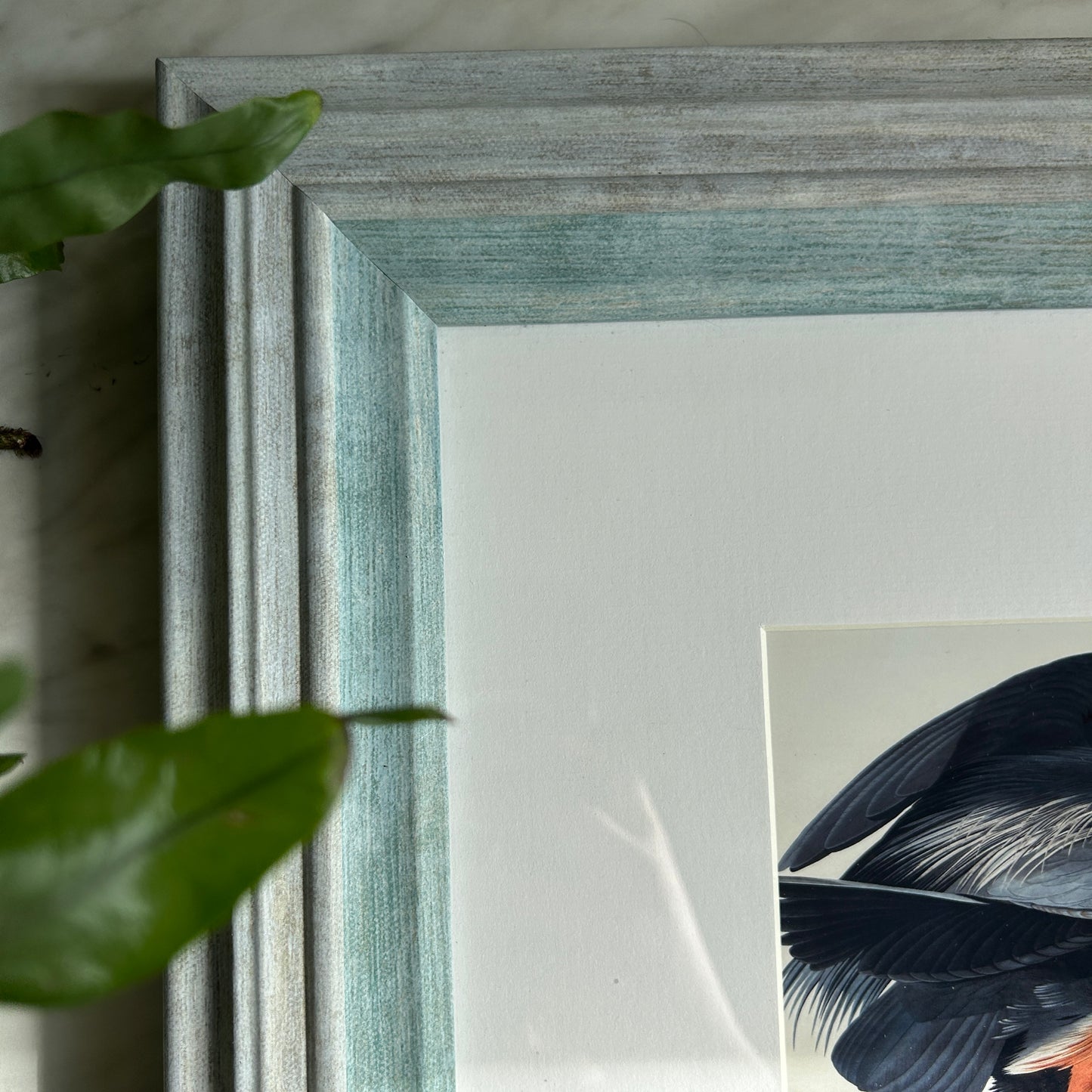 Vintage Blue Heron Art Print | Blue Frame