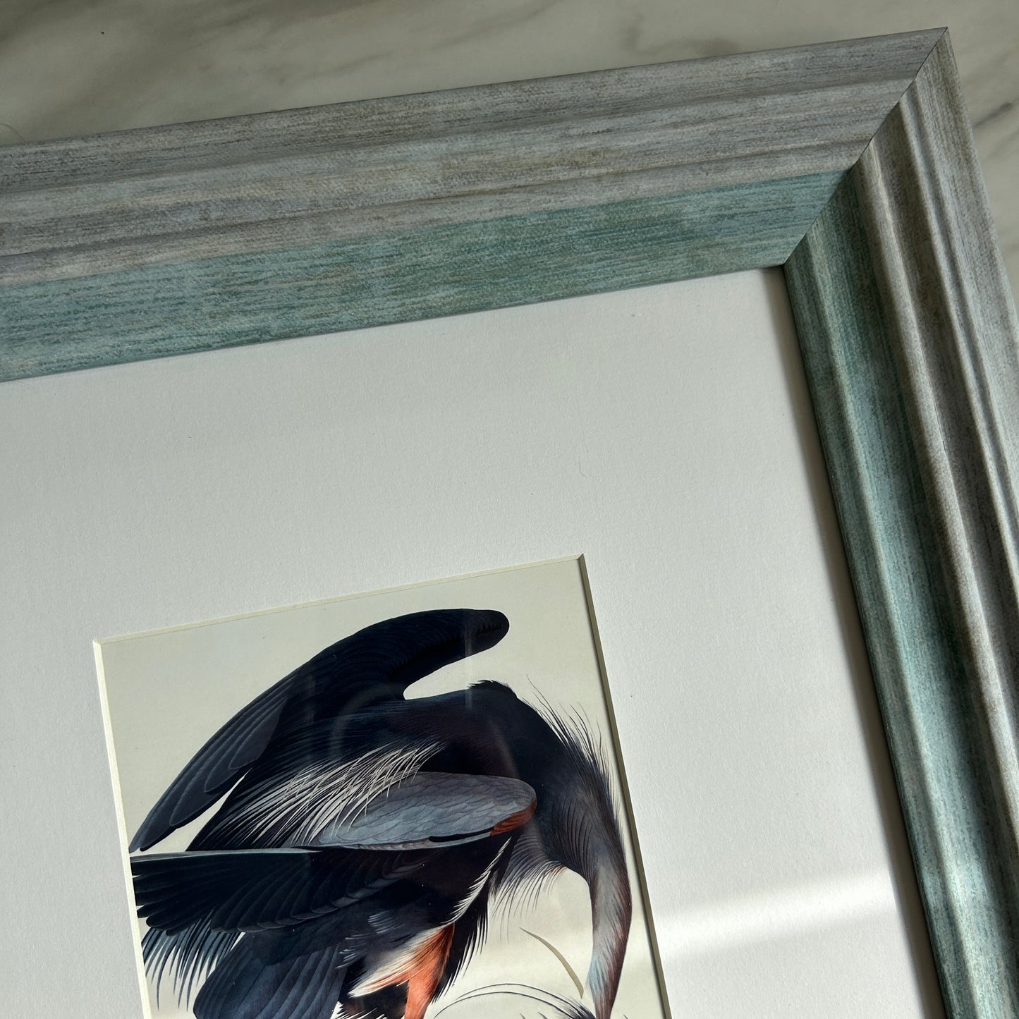 Vintage Blue Heron Art Print | Blue Frame