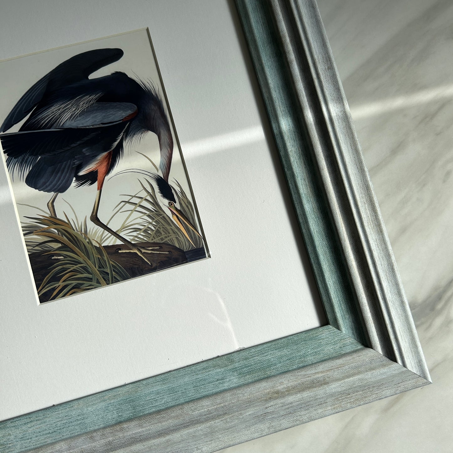 Vintage Blue Heron Art Print | Blue Frame