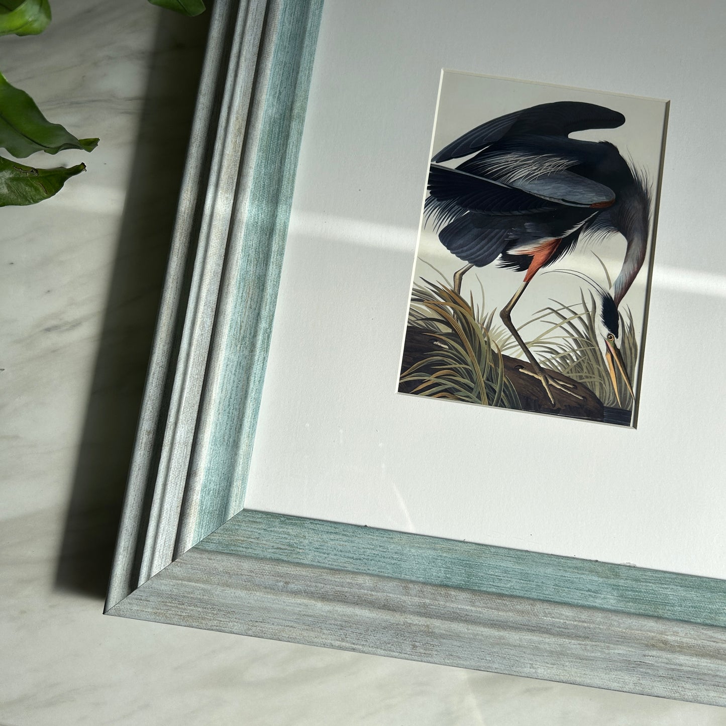 Vintage Blue Heron Art Print | Blue Frame