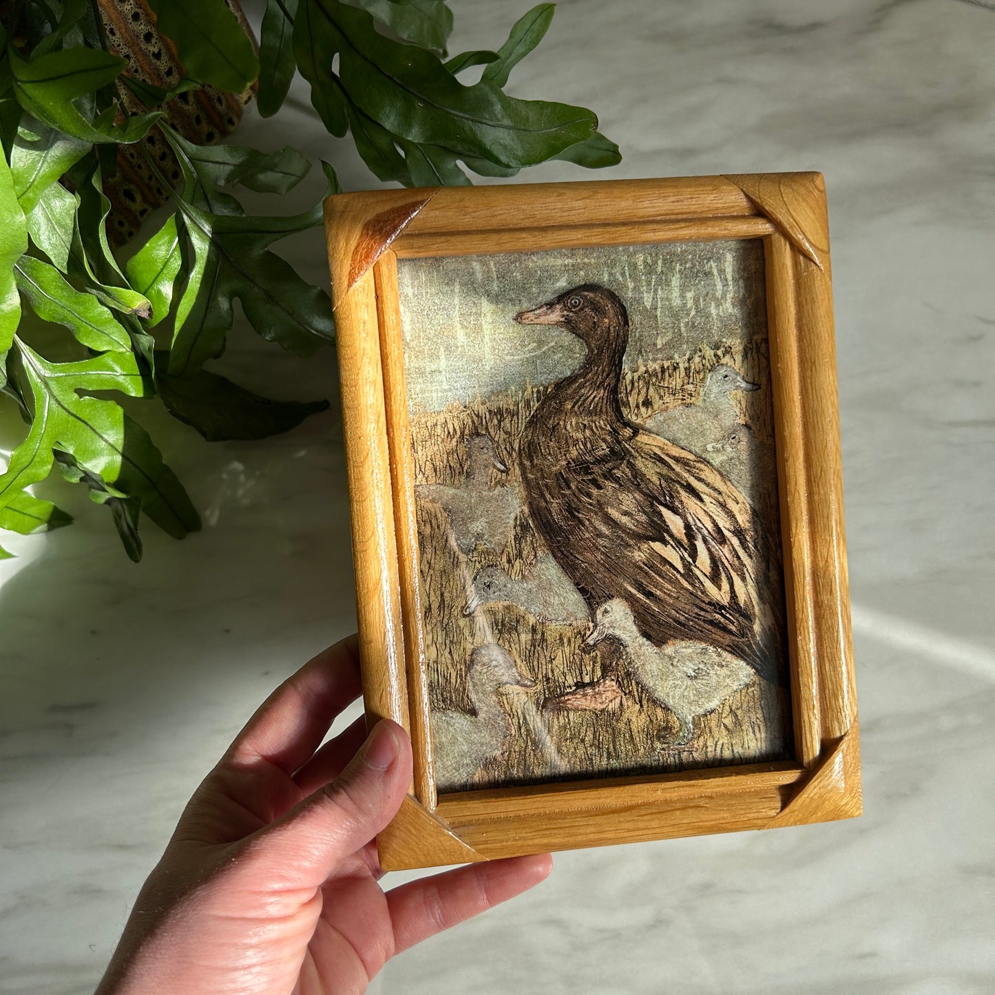 Vintage Duck Family Art Print | Wooden Frame