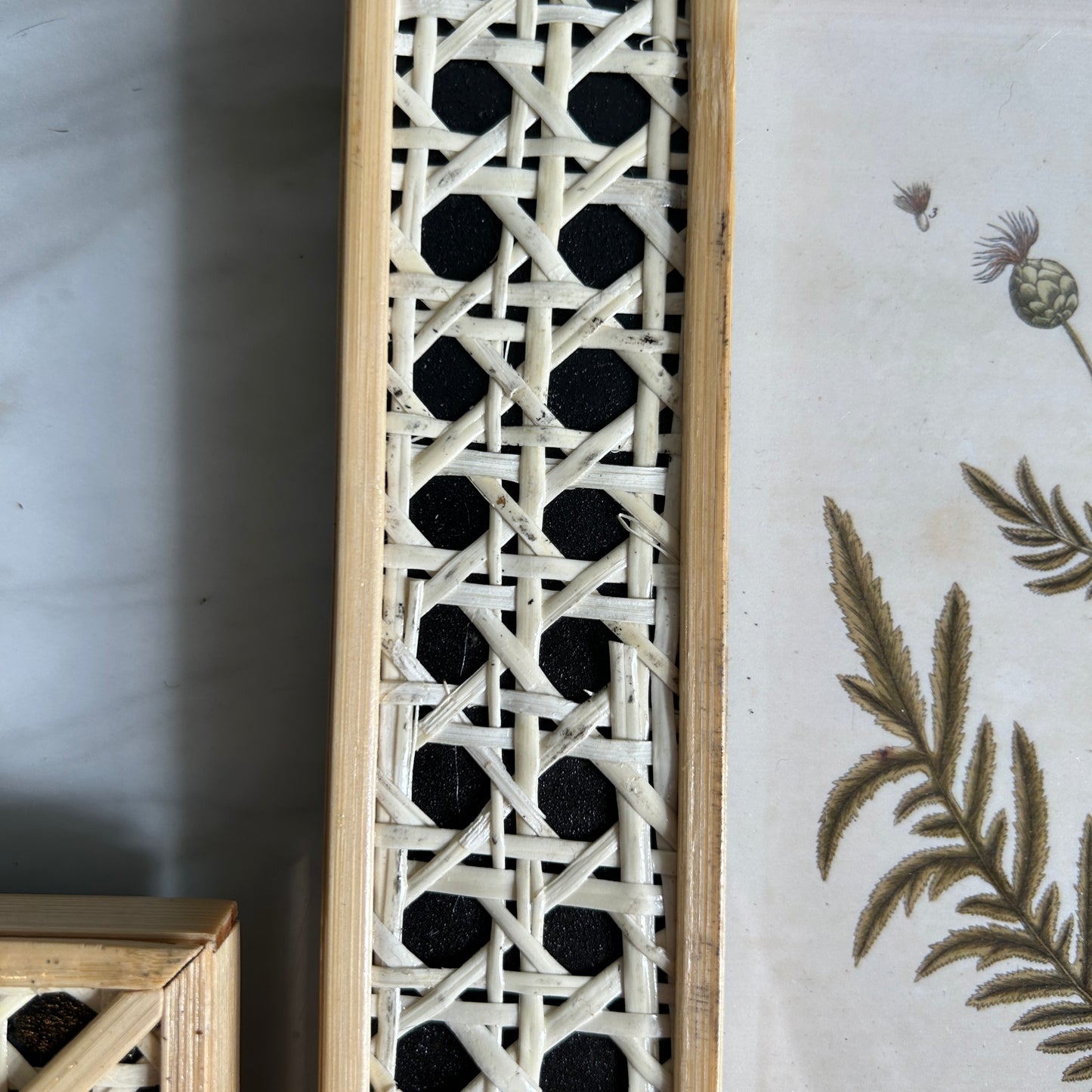 Vintage Botanical Art Print Set | Matching Rattan Frames