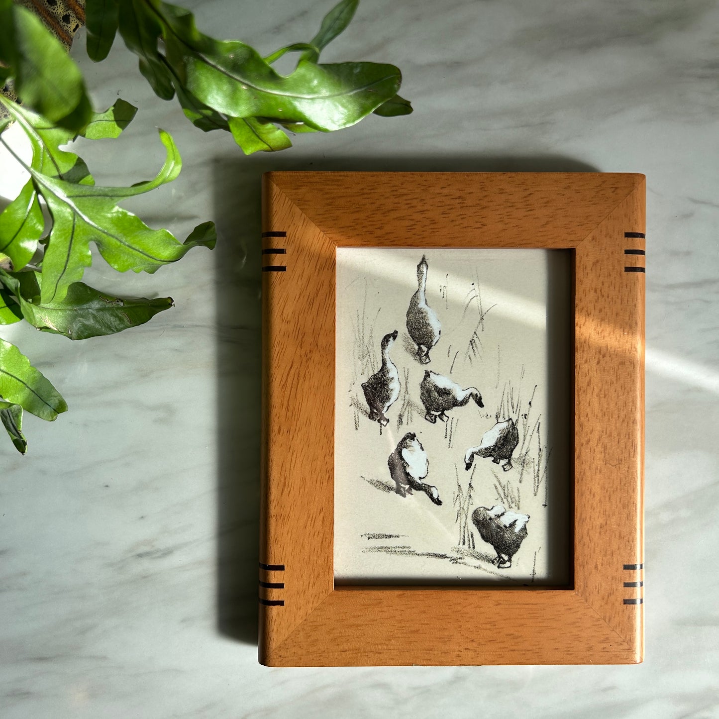 Vintage Duck Gathering Art Print | Wooden Frame