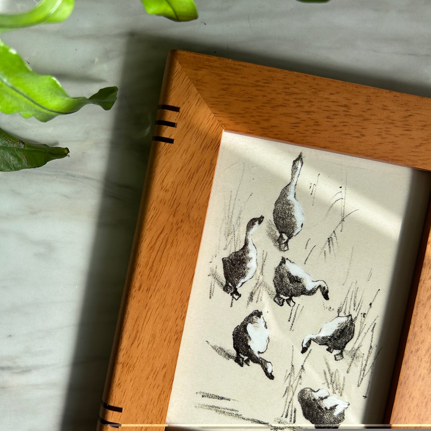 Vintage Duck Gathering Art Print | Wooden Frame