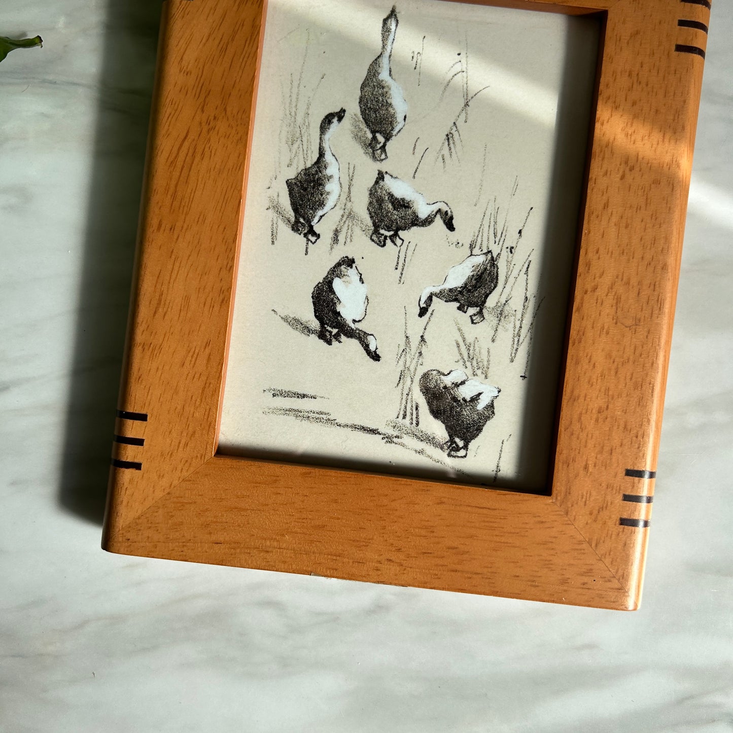 Vintage Duck Gathering Art Print | Wooden Frame