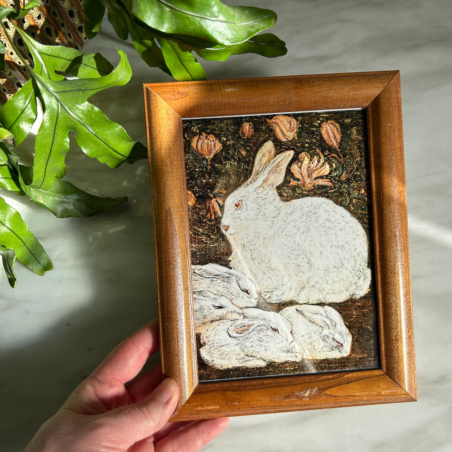 Vintage Rabbit Family Art Print | Wooden Frame
