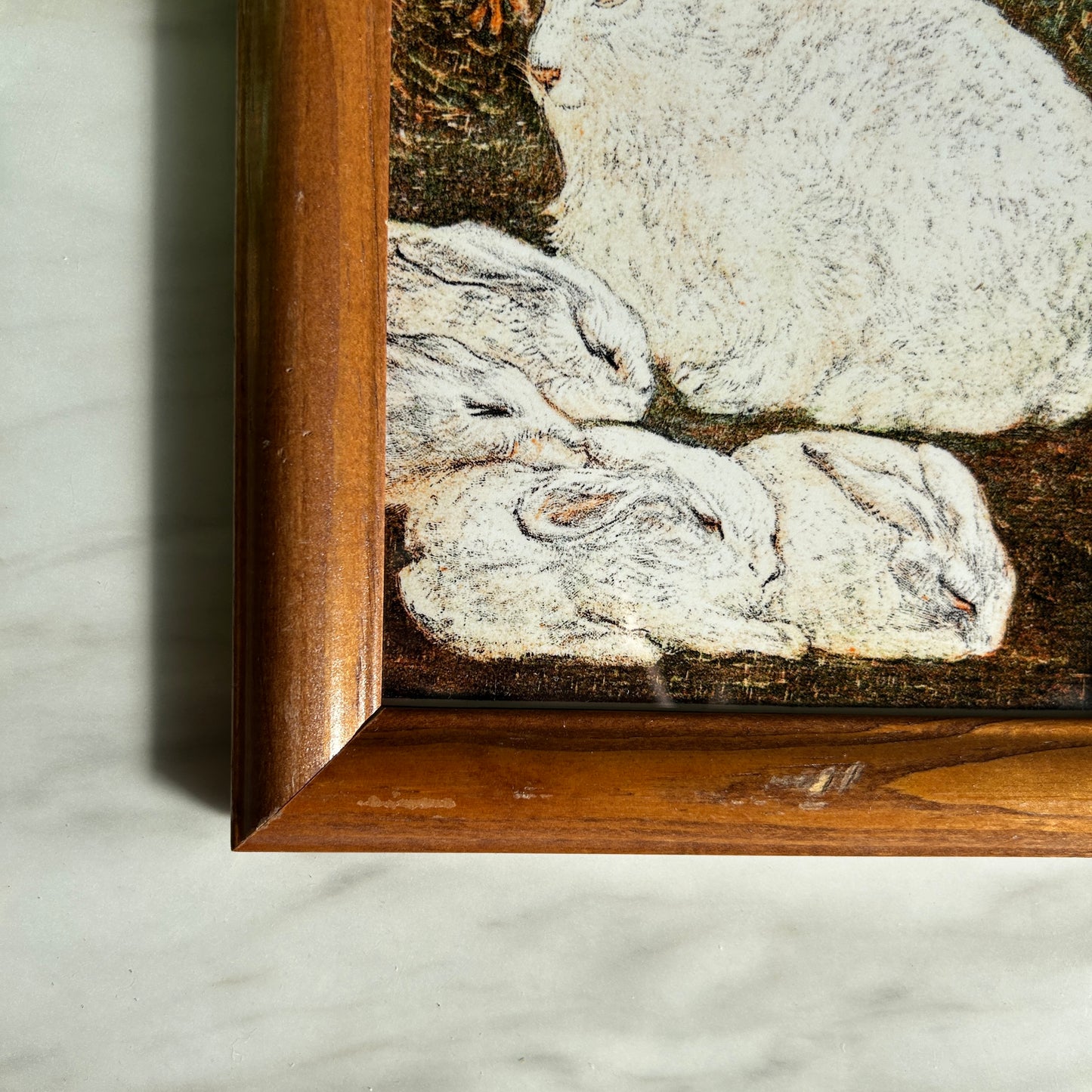 Vintage Rabbit Family Art Print | Wooden Frame