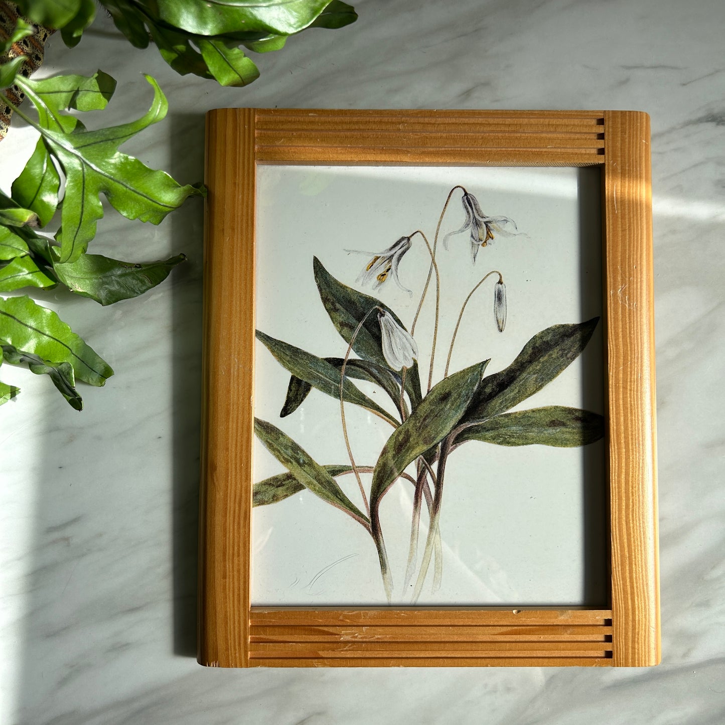 Vintage White Flower Art Print | Wooden Slatted Frame