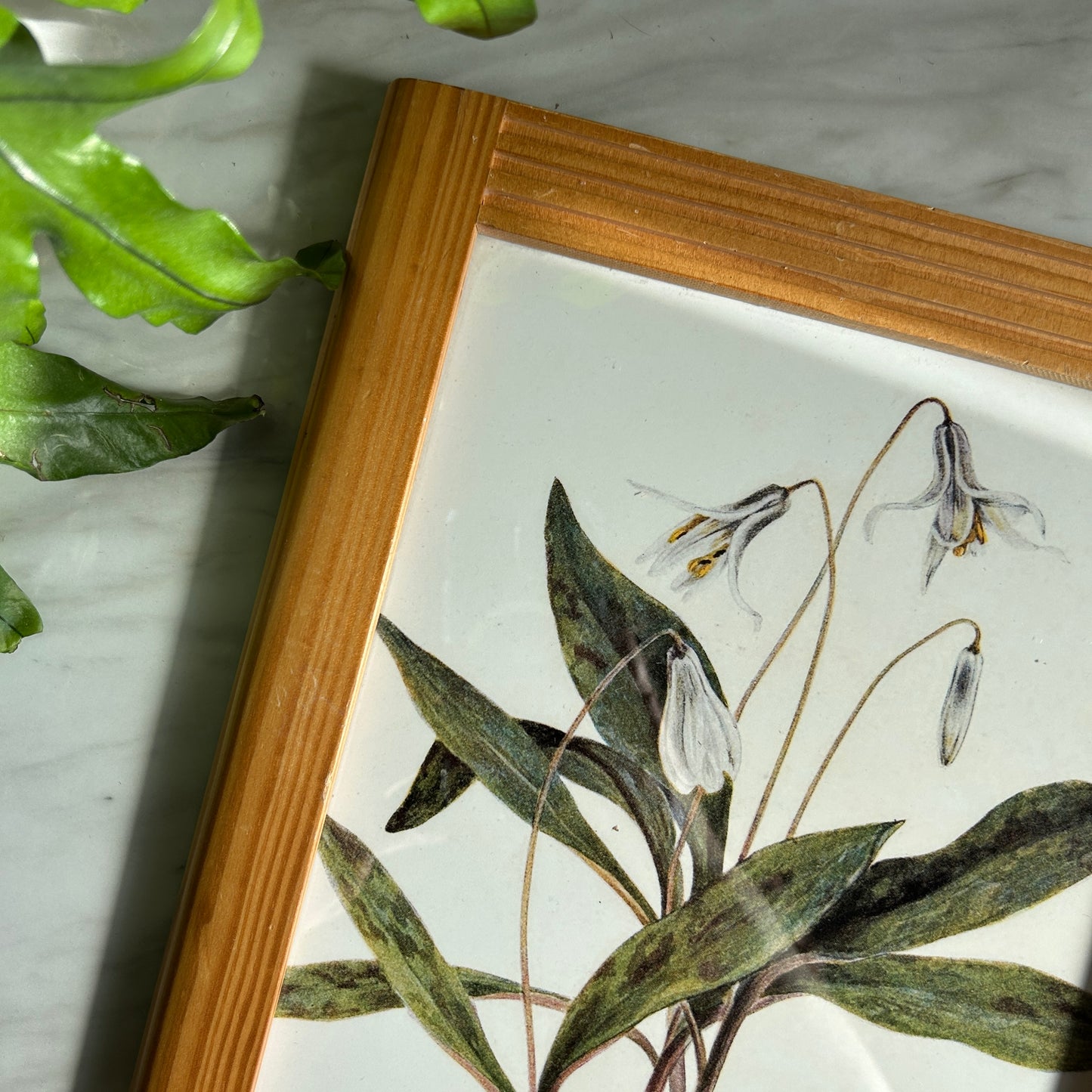 Vintage White Flower Art Print | Wooden Slatted Frame