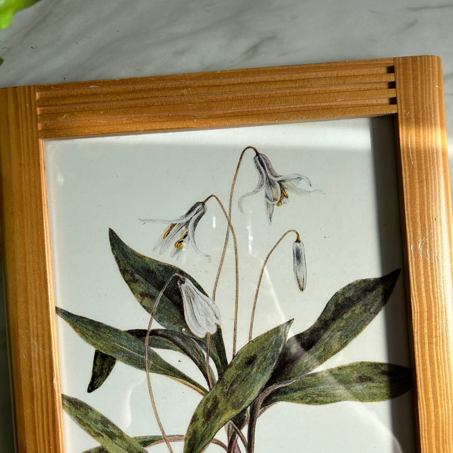 Vintage White Flower Art Print | Wooden Slatted Frame