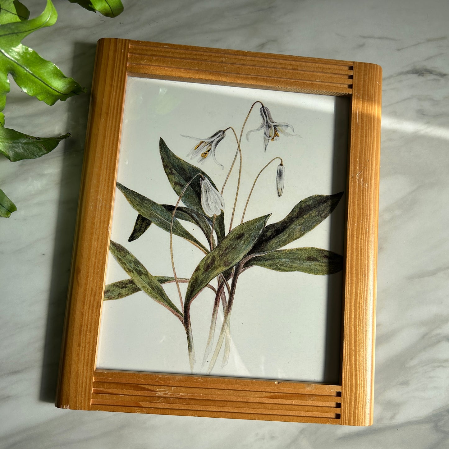 Vintage White Flower Art Print | Wooden Slatted Frame