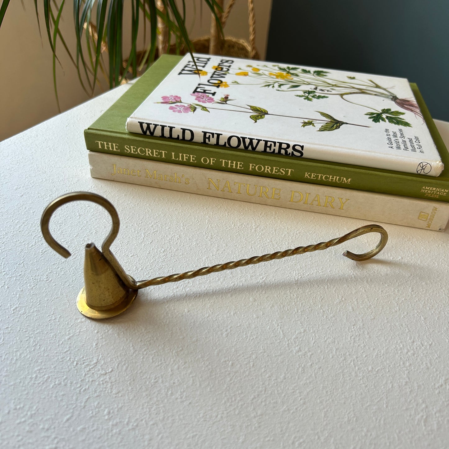 Vintage Brass Candle Snuffer