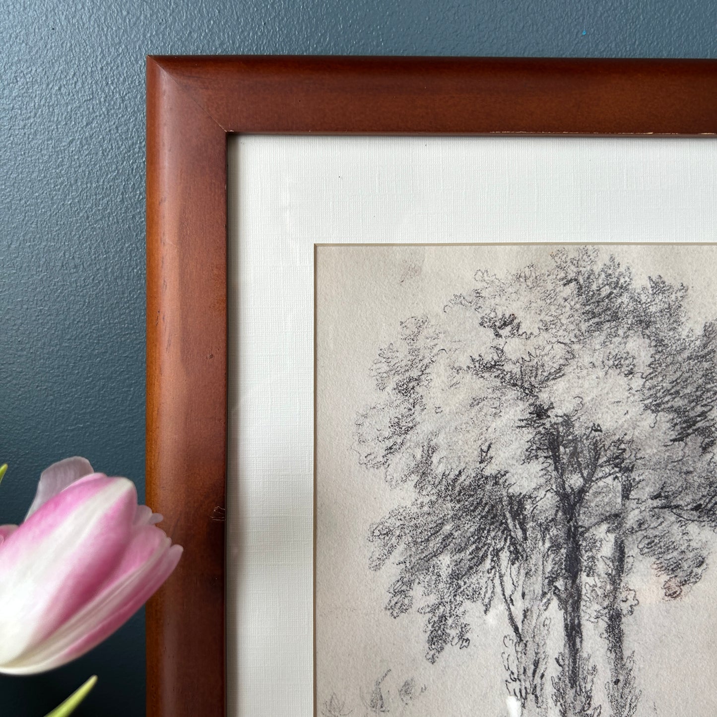 Vintage Tree Sketch Art Print | Wooden Frame