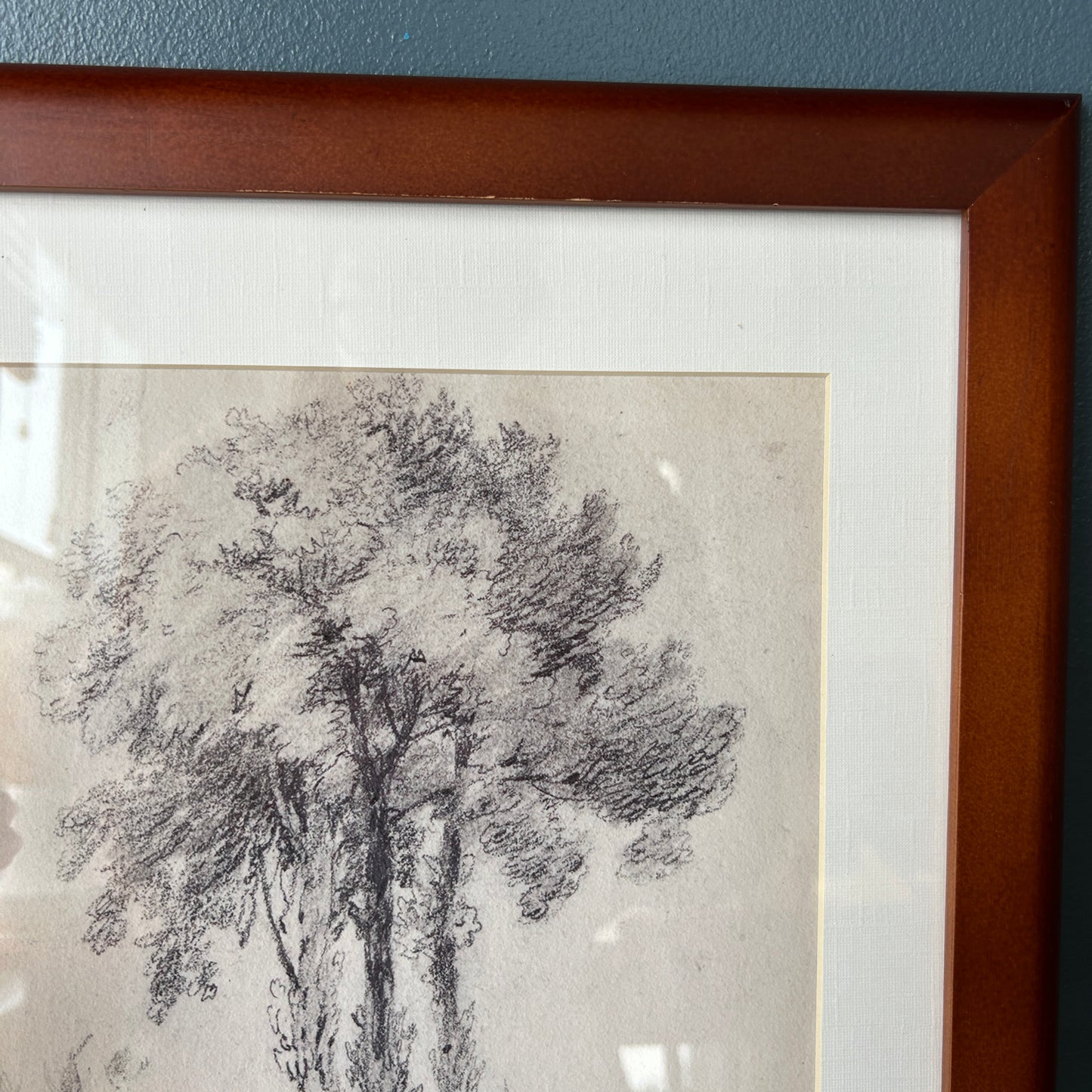 Vintage Tree Sketch Art Print | Wooden Frame