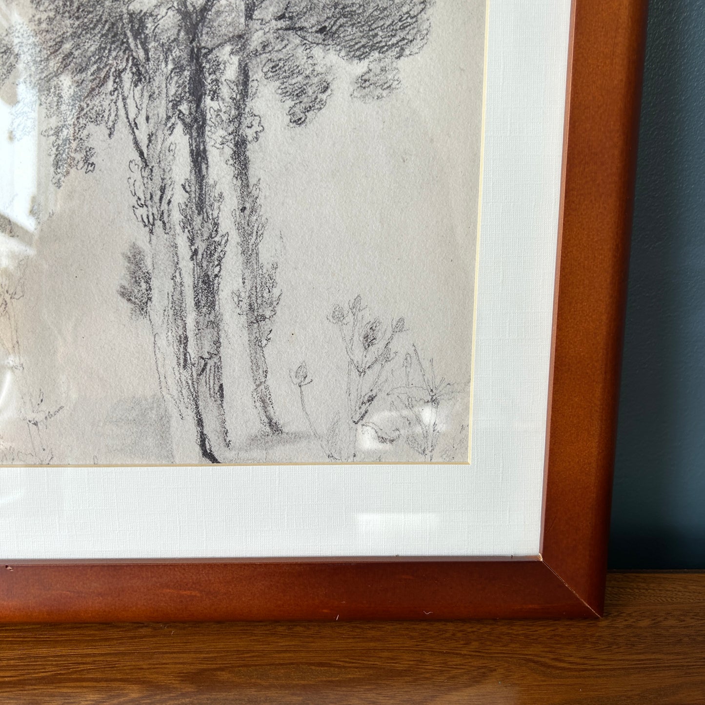 Vintage Tree Sketch Art Print | Wooden Frame