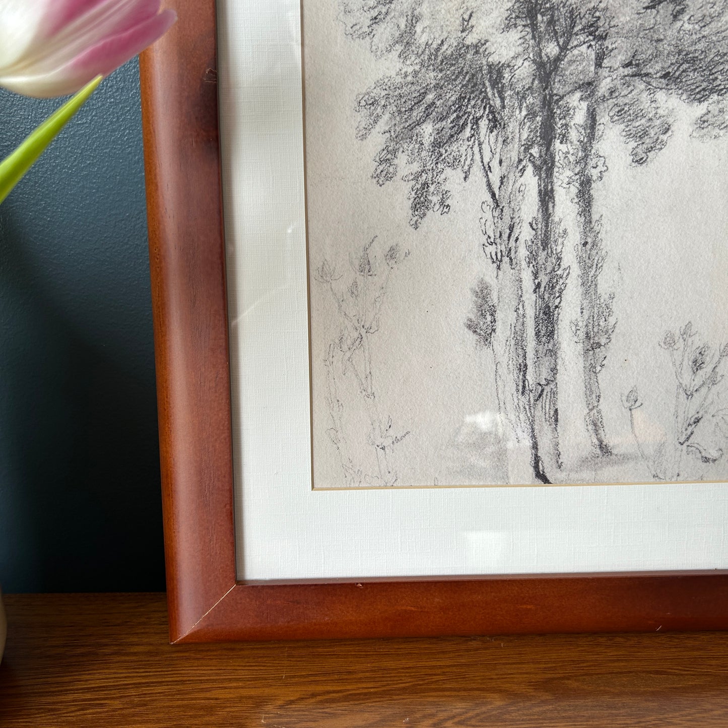 Vintage Tree Sketch Art Print | Wooden Frame