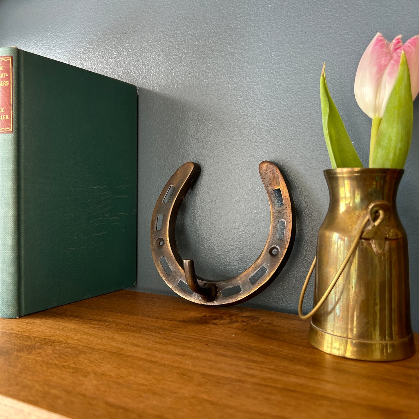 Horseshoe Wall Hook