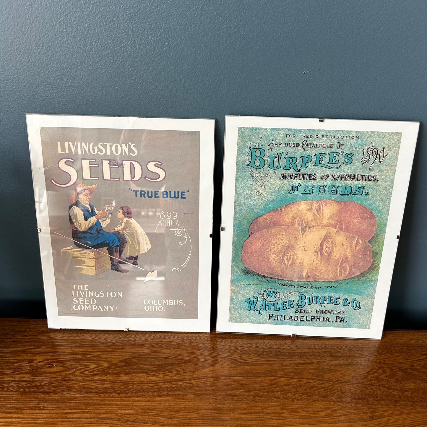 Vintage Seed Art Prints | Posters