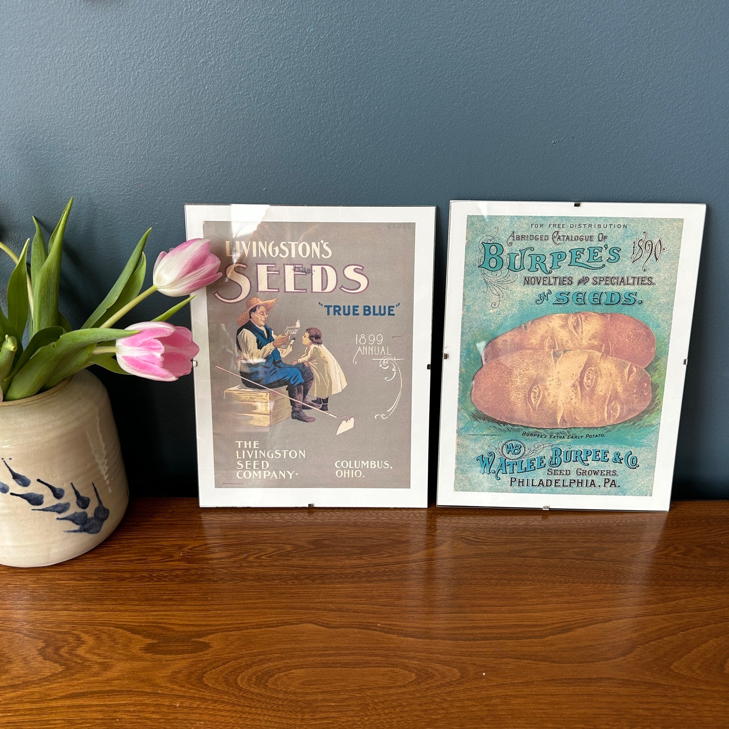 Vintage Seed Art Prints | Posters