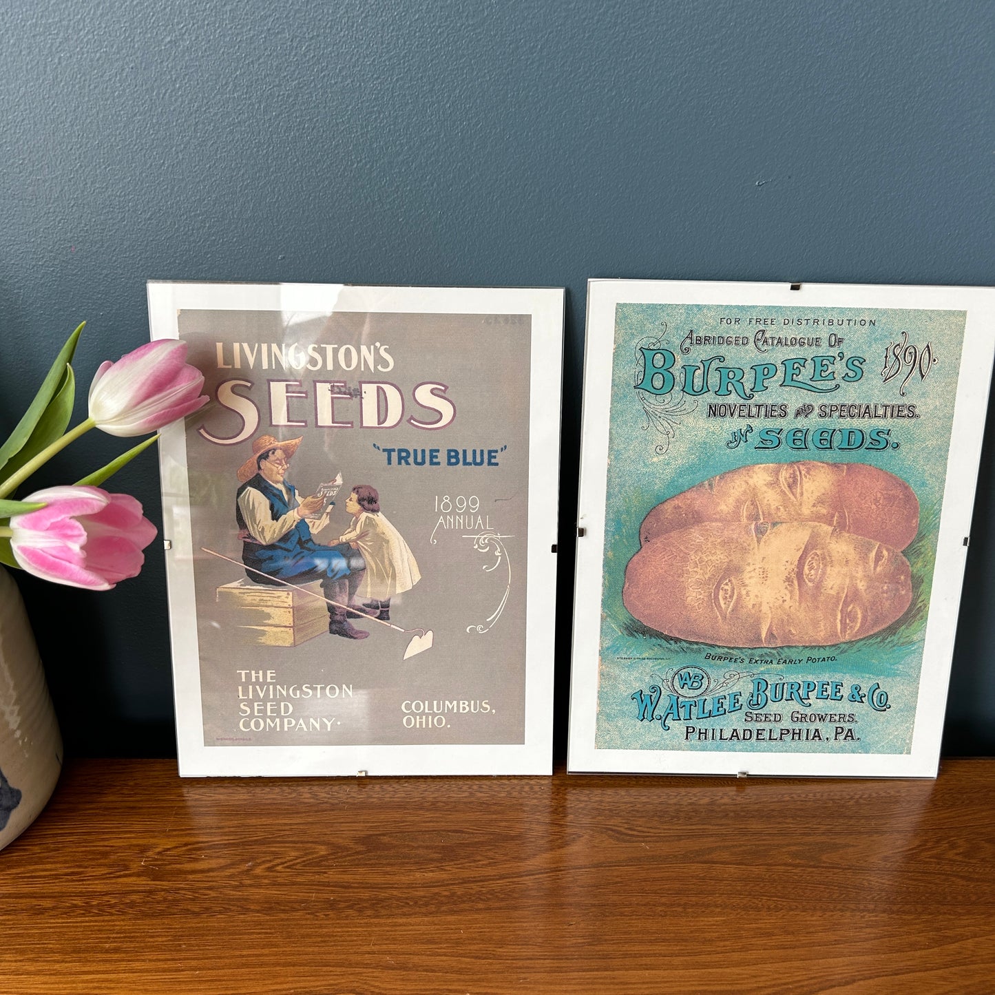 Vintage Seed Art Prints | Posters