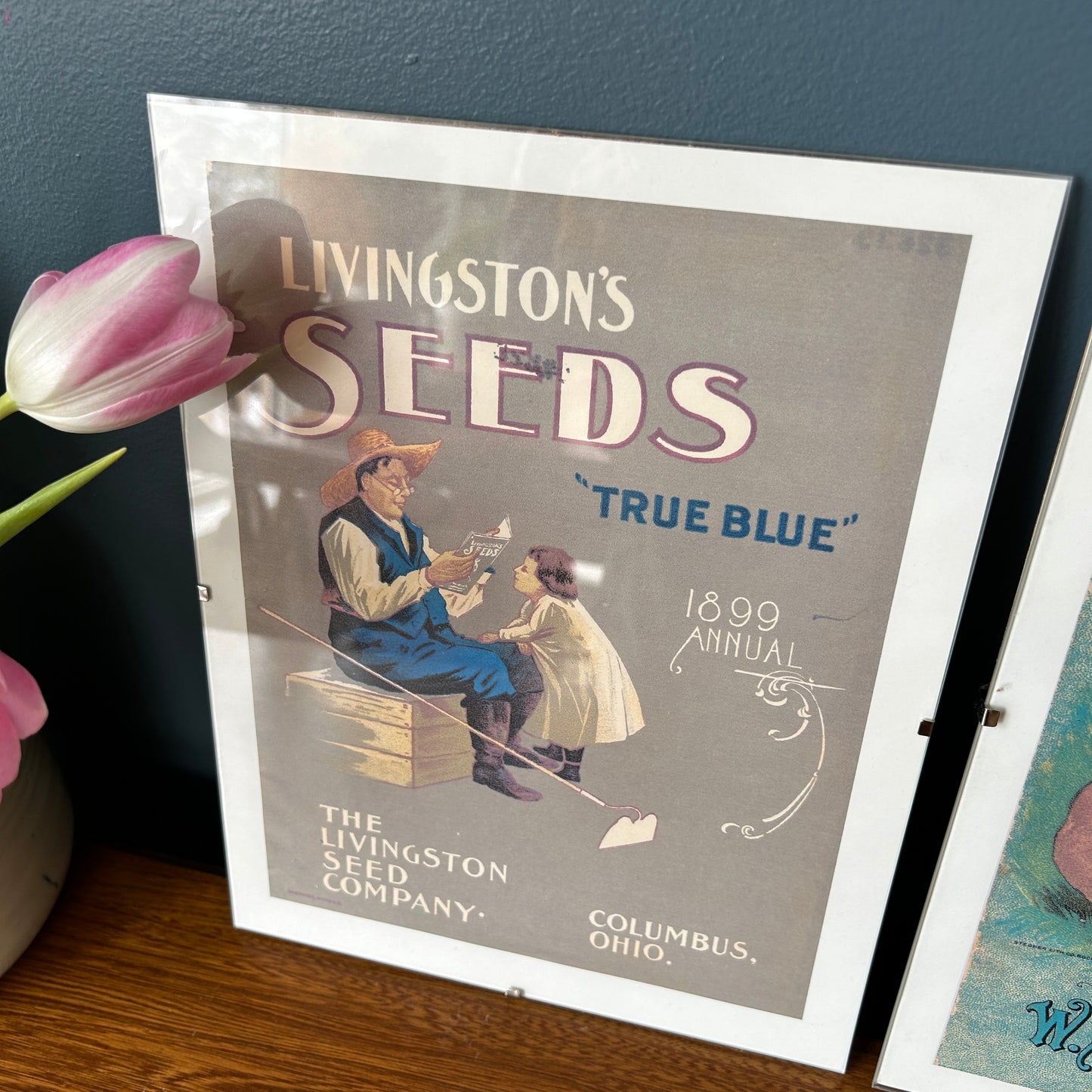 Vintage Seed Art Prints | Posters
