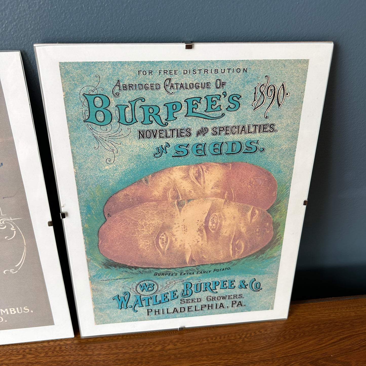 Vintage Seed Art Prints | Posters