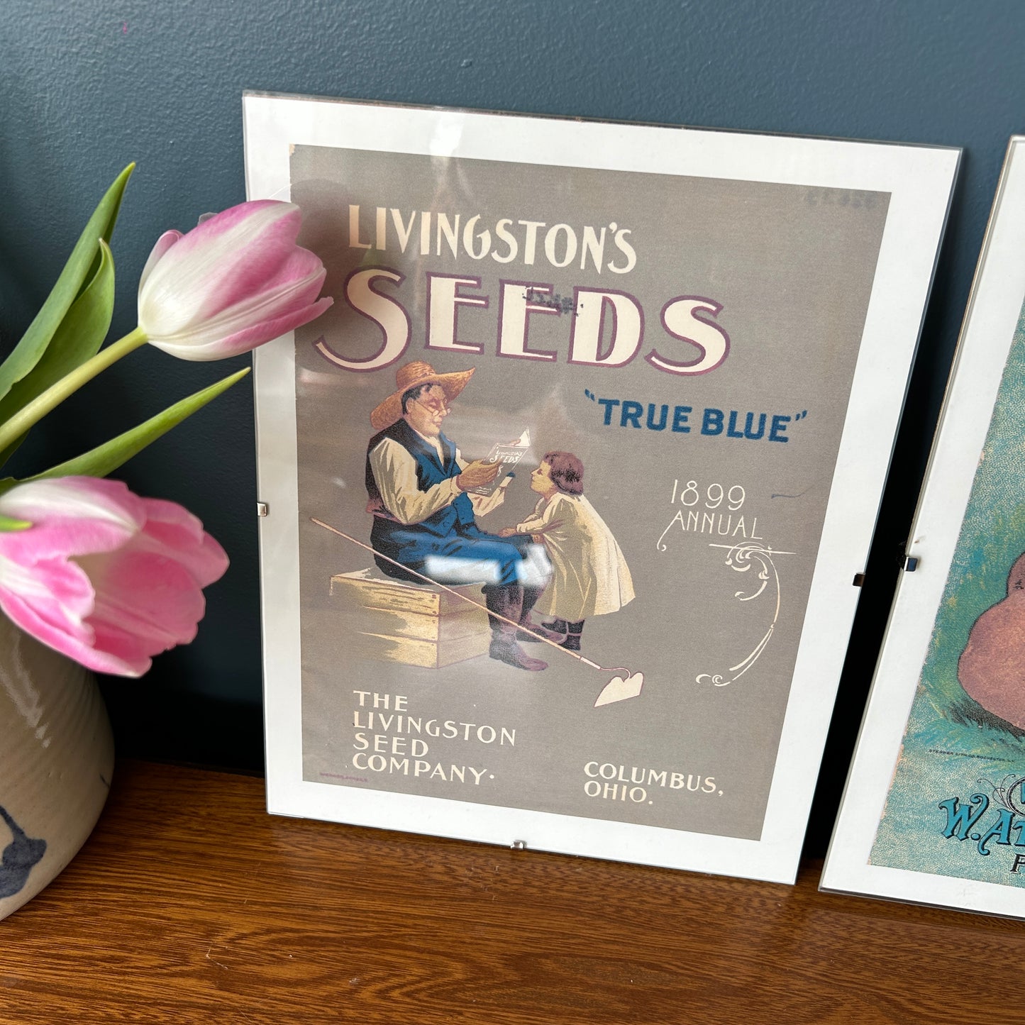 Vintage Seed Art Prints | Posters