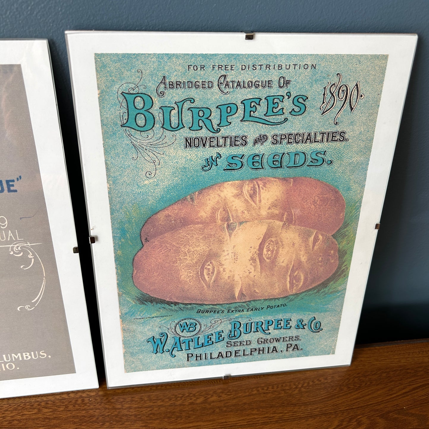 Vintage Seed Art Prints | Posters