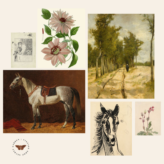 Vintage Art Prints - Gallery Wall #1  (no frames)